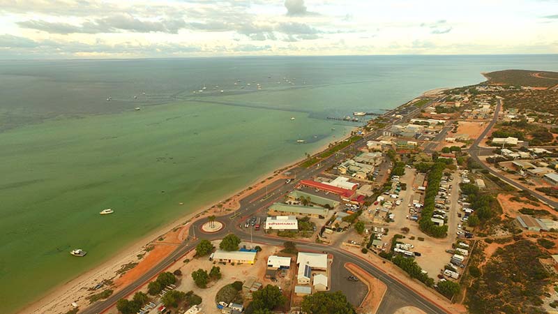 aerial view of the park